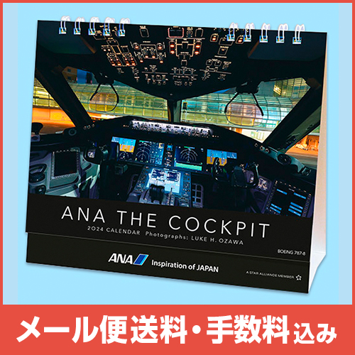 ڥ᡼(ݥȡ)ߡANA THE COCKPIT2025