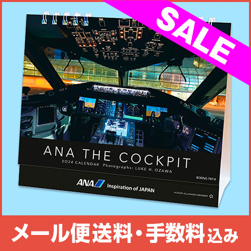 ڥ᡼(ݥȡ)ߡANA THE COCKPIT2025