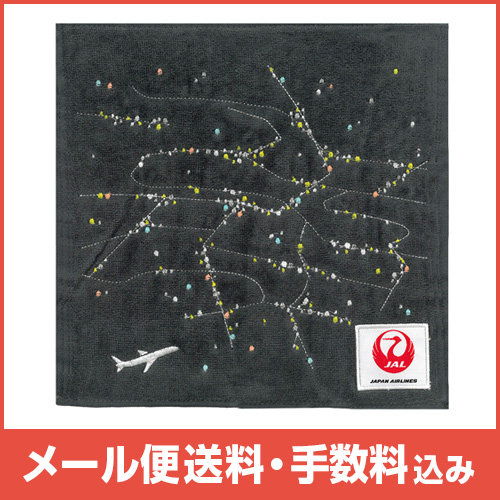 �ڥ᡼����(�ݥ�����ȡ)��������������ߡ� JAL �ߥ˥����� �ե饤�ȥ饤��