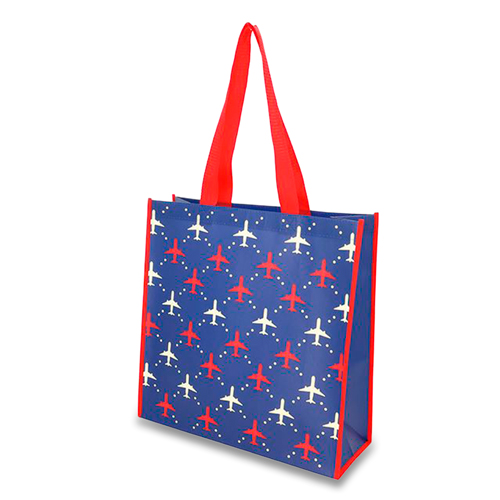 JAL �ʥ��ȥե饤���Կ��ۥХå�