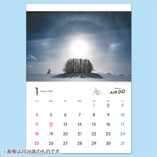��ͽ����(11����ܺ�ȯ��)��2027ǯ�� AIRDO���ꥸ�ʥ��ɳݥ�������