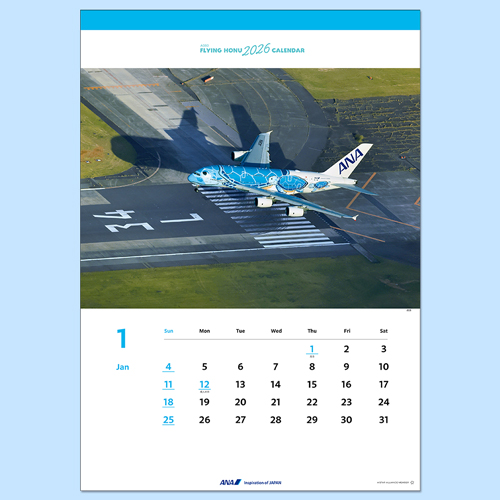 ANA A380 FLYING HONU ɳݤ2026