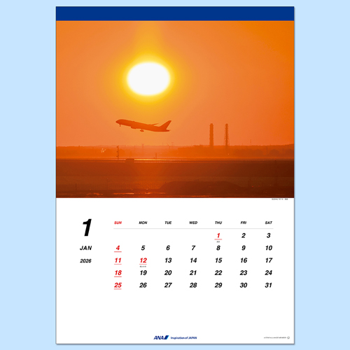 ANA 787ɳݤ2026