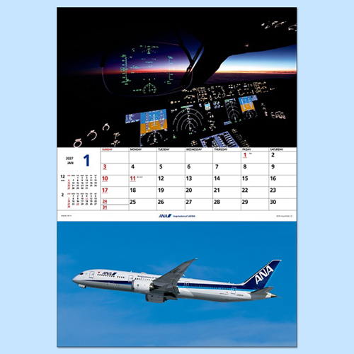 ANA THE COCKPIT�����������ɳݤ���2027