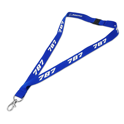 �ڥ᡼����(�ݥ�����ȡ)��������������ߡ�BOEING 787 �ͥå����ȥ�å�