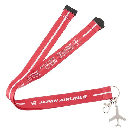 �ڥ᡼����(�ݥ�����ȡ)��������������ߡ�JAL �ͥå����ȥ�å� FLEET�� RD ���㡼����