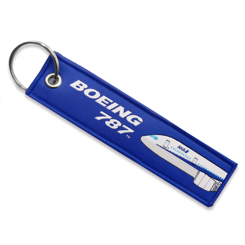 �ڥ᡼����(�ݥ�����ȡ)��������������ߡ�ANA��BOEING 787�ե饤�ȥ��� Ver.3(��)