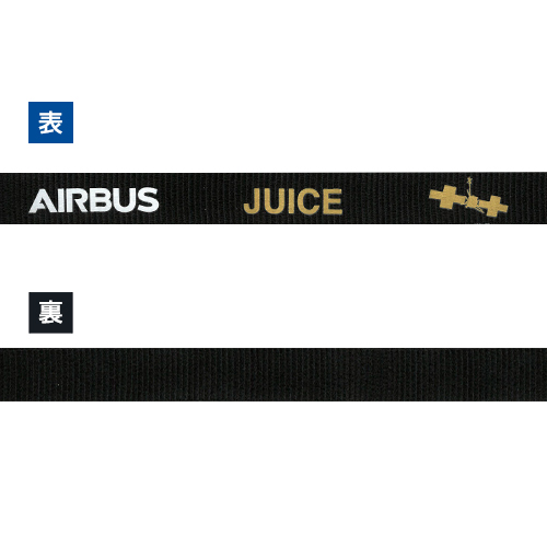 AIRBUS JUICE 磻ɥͥåȥå