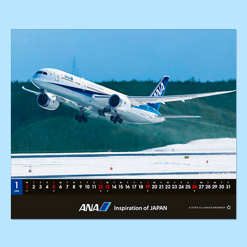 ڥ᡼(ݥȡ)ߡANA 7872025