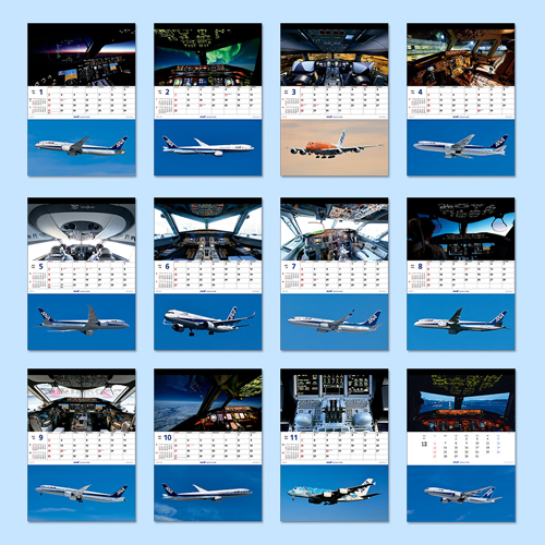 ANA THE COCKPIT�����������ɳݤ���2027