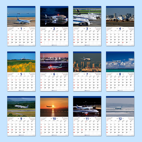 ANA 787�����������ɳݤ���2027