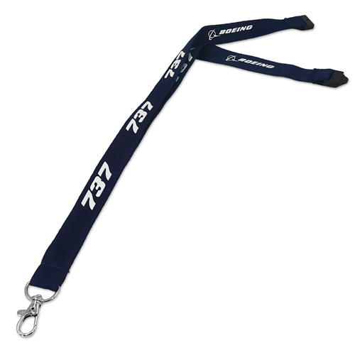 �ڥ᡼����(�ݥ�����ȡ)��������������ߡ�BOEING 737 �ͥå����ȥ�å�