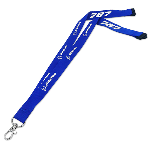 �ڥ᡼����(�ݥ�����ȡ)��������������ߡ�BOEING 787 �ͥå����ȥ�å�