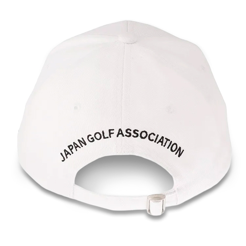 JAL JGA եå(WH)