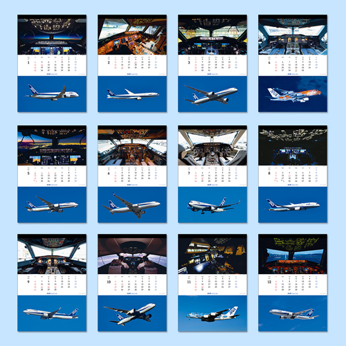 ANA THE COCKPIT�����������ɳݤ���2026