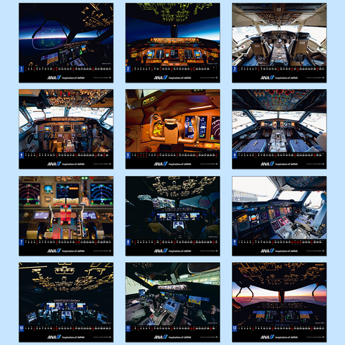 ڥ᡼(ݥȡ)ߡANA THE COCKPIT2026