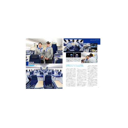 �ڥ᡼����(�ݥ�����ȡ)�������ߡۥӥ��ͥ����饹 GUIDE BOOK ������