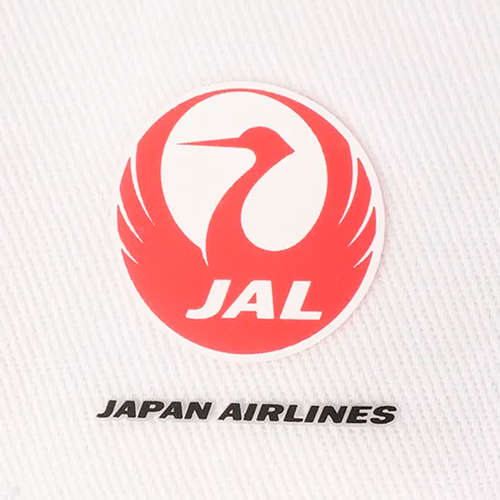 JAL JGA եå(WH)