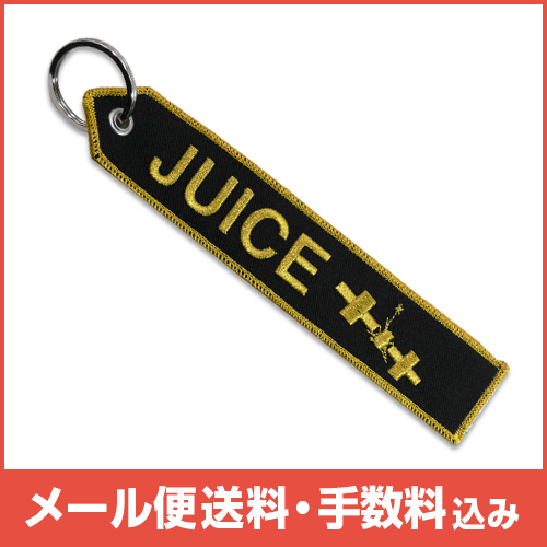 �ڥ᡼����(�ݥ�����ȡ)��������������ߡ�AIRBUS JUICE �����ۥ����