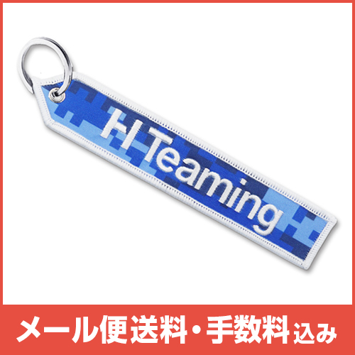 �ڥ᡼����(�ݥ�����ȡ)��������������ߡ�AIRBUS HTEAMING�����ۥ����