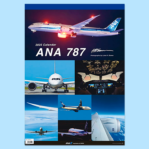 ANA 787ɳݤ2025