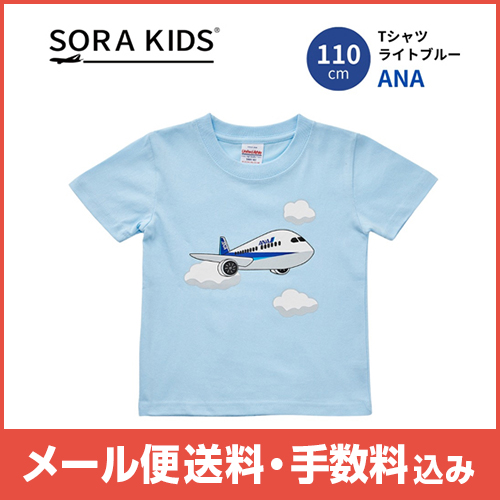 �ڥ᡼����(�ݥ�����ȡ)��������������ߡ�ANA�Ҥ�����T�����  110������(�饤�ȥ֥롼)