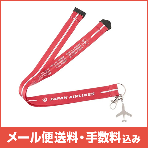 �ڥ᡼����(�ݥ�����ȡ)��������������ߡ�JAL �ͥå����ȥ�å� FLEET�� RD ���㡼����
